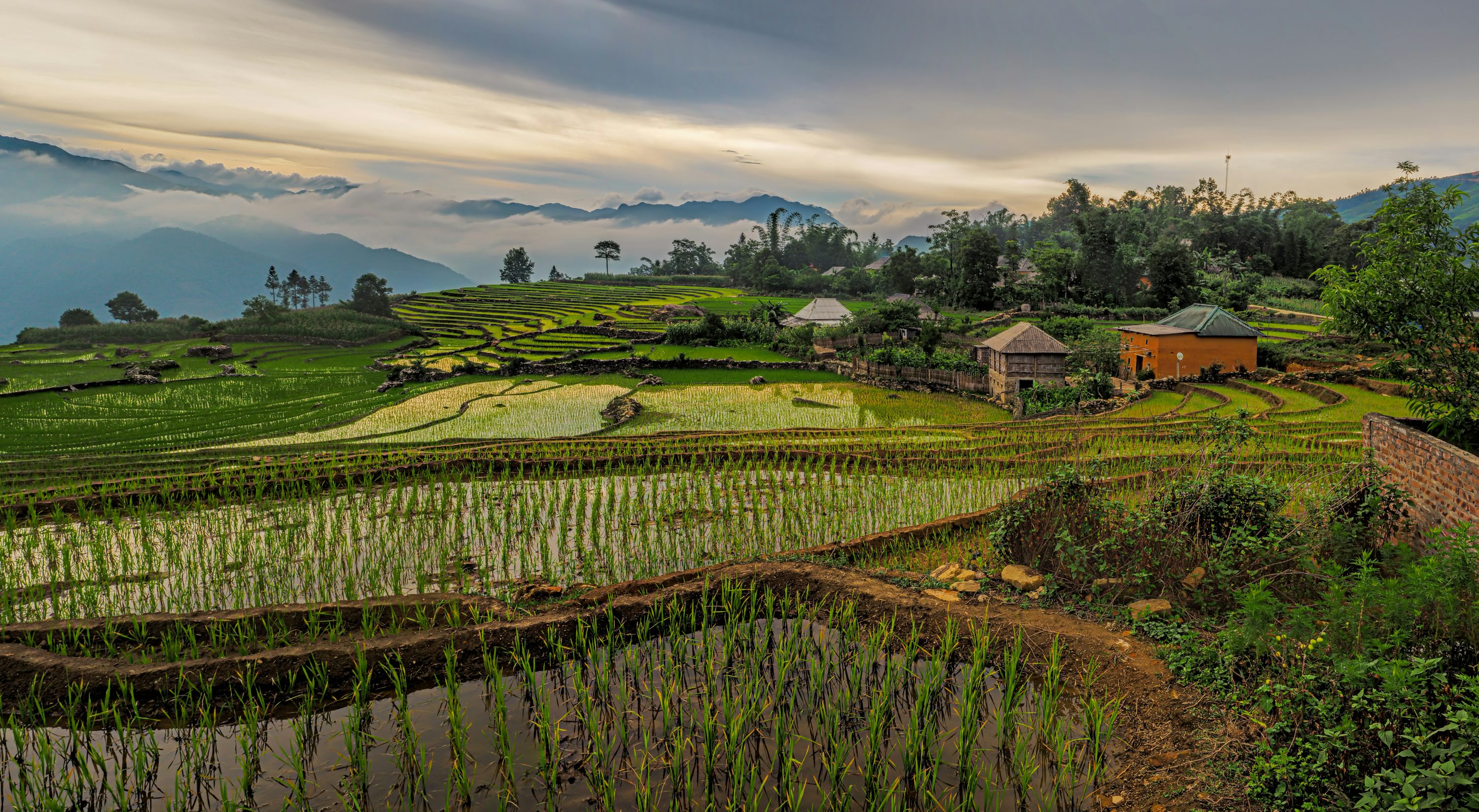 a picturesque landscape unfolds, showcasing vibrant green rice paddies sculpted into terraced formations on the slopes of rolling hills. traditional houses and huts are scattered amidst the lush greenery, creating a charming rural village scene. the background features majestic mountains shrouded in soft clouds under a sky transitioning between sunrise and sunset.  the overall atmosphere is peaceful and tranquil, highlighting the beauty of the natural environment and the harmony between human settlement and the agricultural landscape.  the image evokes a sense of serenity and the simple life.