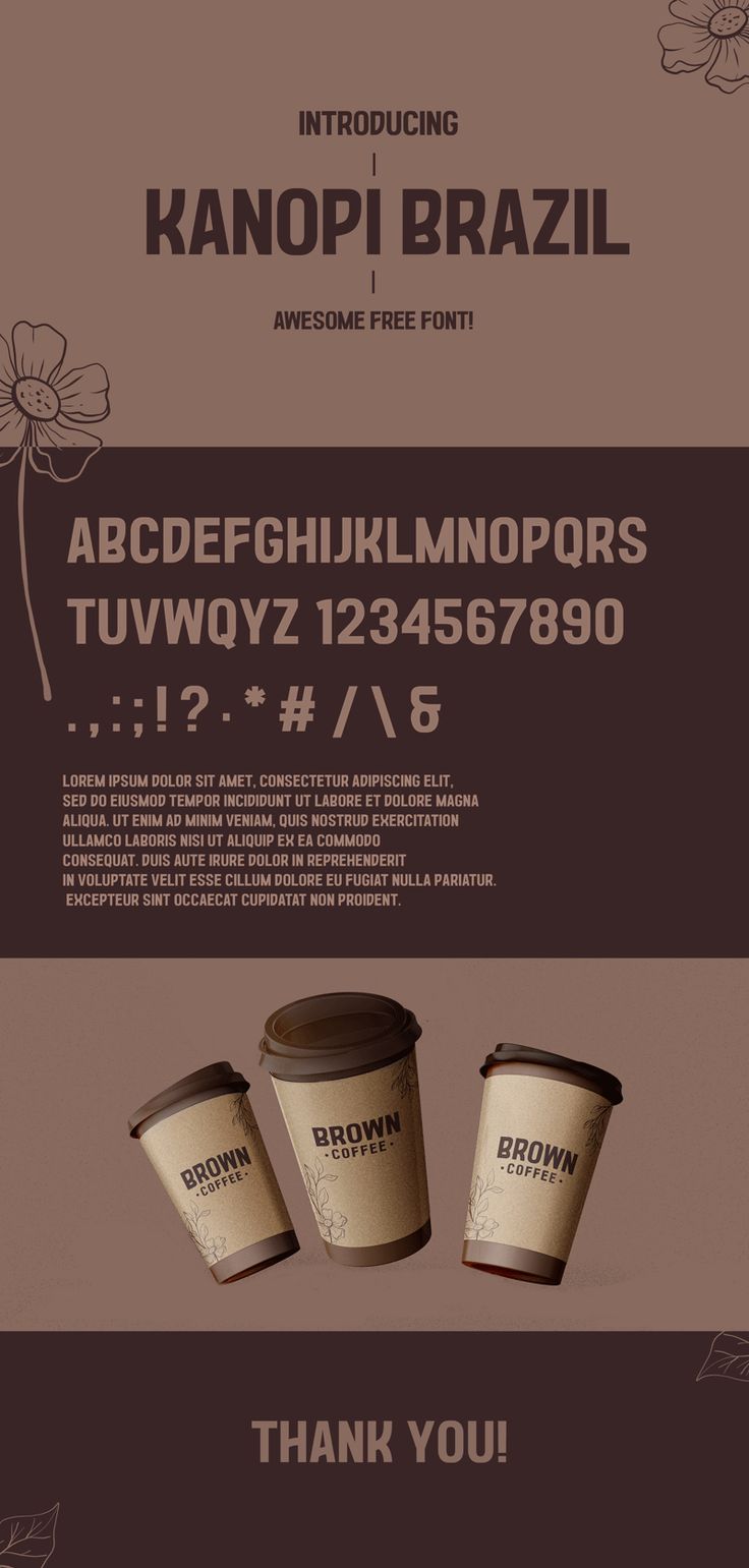 this image features the kanopi brazil font in a brown color scheme. the font is displayed with the full alphabet, numbers, and punctuation. below the font display is a paragraph of lorem ipsum text. at the bottom of the image, there are three coffee cups labeled "brown coffee". the image also includes flower designs and a "thank you!" message. the overall style is modern and earthy.