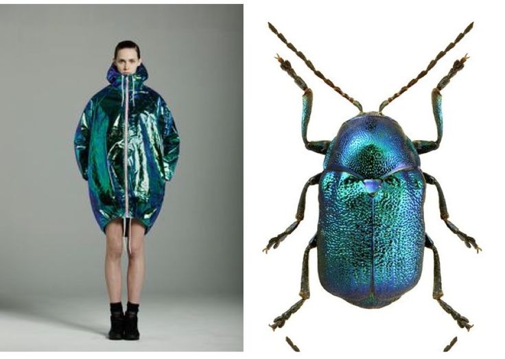 the image shows a woman wearing a iridescent green and blue jacket standing on the left side, and a green and blue beetle on the right. both the jacket and the beetle have a similar iridescent sheen. the woman is looking at the camera and the beetle is facing the camera.