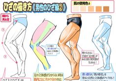 the image is an instructional illustration about drawing male knees from a side perspective. it is written in japanese and features three drawings of legs, each highlighting a different aspect of the knee's anatomy and structure. the illustration also includes notes on muscle placement and shading, as well as a skin tone guide for reference.