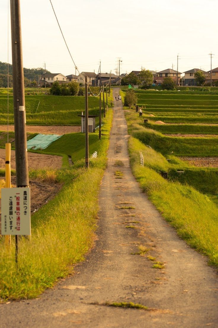 a long shot of a rural road in japan, winding through verdant rice paddies and passing by a quiet residential area. the road is unpaved and shows signs of wear, and is lined with tall grass. houses are visible in the distance, creating a serene and tranquil atmosphere. the sun is setting, casting a warm golden light over the scene.  a sign is visible on the left side of the road, but the text is illegible.