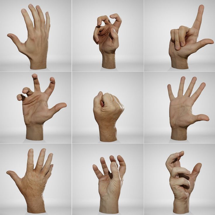 the image shows nine different poses of a human hand. the hands are rendered in 3d and look very realistic. they have detailed skin textures and wrinkles.  the hands are arranged in a grid with three rows and three columns.  the hands are isolated against a white background.