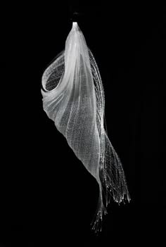 a black and white photograph of a piece of white fabric hanging down in a dark background. the fabric is translucent, delicate and drapes elegantly, forming soft curves and folds. the fabric is lit from above, casting shadows and highlighting its texture. the image has a minimalist and ethereal feel, conveying a sense of grace and beauty.