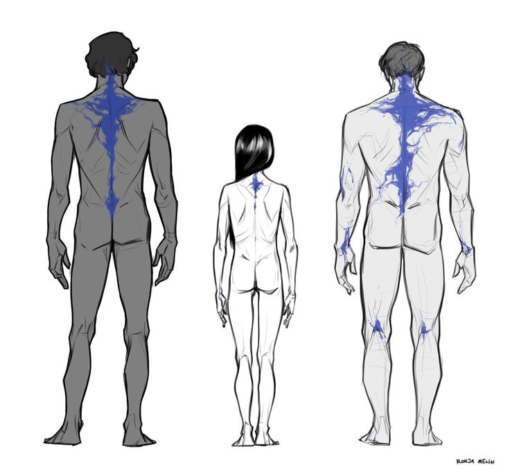 three people (two males and one female) are shown in the image from the back. they have lines drawn on their bodies, likely indicating muscles or bones. the drawing is an anatomical illustration. the people are standing in a slightly staggered position and have their hands at their sides. the drawing is in a simple style, without a lot of detail. the image is likely intended for an art or anatomical reference.  the artist's signature, ronda mein, is on the bottom right side of the page.