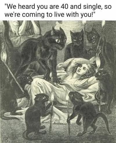 the image is a humorous artwork depicting several black cats surrounding a woman lying in bed. the artwork is old and in black and white. the text above says: "we heard you are 40 and single, so we're coming to live with you!". the cats are standing around the woman's bed, some holding what appear to be burning sticks.