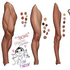 this image is a digital sketch showing how to draw legs with different muscle definitions. three different legs are shown from the side, each with varying levels of muscle detail. next to each leg is a color palette with different shades of brown used for shading. there is text on the image that says "tbohai painting stream!!" and "on twitch!" with a small cartoon person.