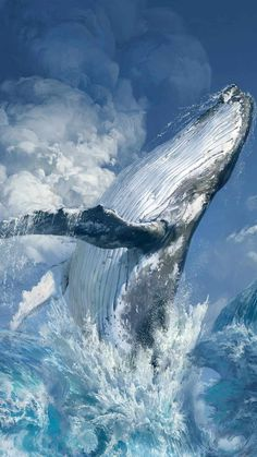 a humpback whale is breaching out of the ocean. its tail and one flipper are visible in the air. the whale is surrounded by splashing water. the background features a blue sky with fluffy white clouds.
