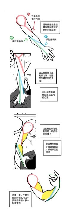 the image is a tutorial on how to draw arms in a dynamic pose. it features four different arm poses drawn in a manga style. each pose is accompanied by textual explanations in chinese, highlighting key points about muscle placement and how to achieve a more realistic look. the tutorial uses colored lines to illustrate the flow and form of the arm muscles. content: drawing tutorial, arm anatomy, dynamic posespeople: no people visible, but implied through the drawing subjectenvironment: n/alighting: n/aperspective: slight perspective, primarily focused on the arm itself kw: arm drawing, manga style, anatomy tutorial, muscle placement, dynamic poses, drawing tips, art instructionpalette: #ffffff, #000000, #f9e382, #d8d8d8, #969696