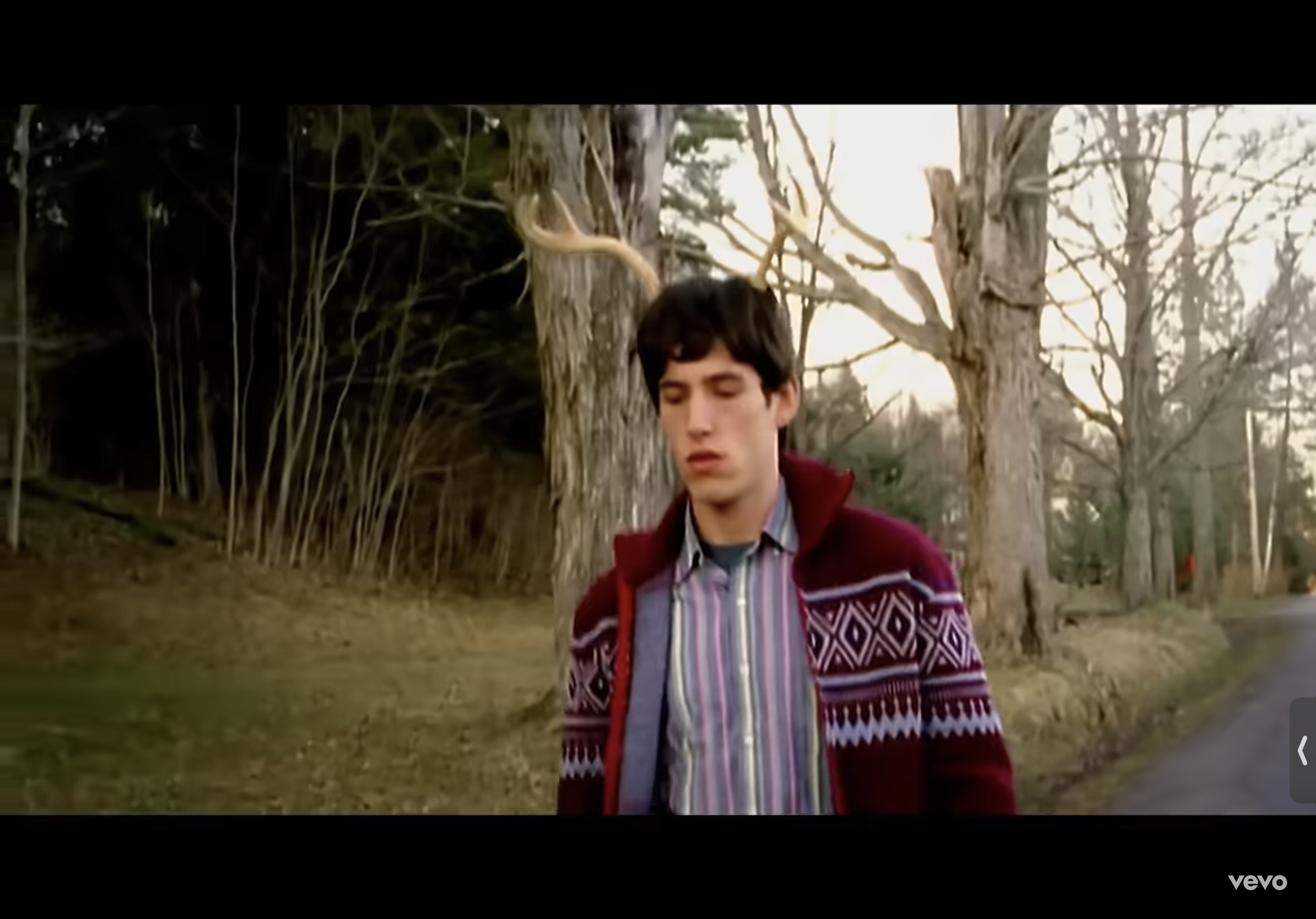a young, caucasian man with short brown hair and a melancholic expression walks down a quiet road. he is wearing a maroon, patterned sweater over a blue and white striped shirt. the road is lined with bare trees, suggesting it's late fall or winter. the overall atmosphere is somber and reflective, hinting at the man's internal state.