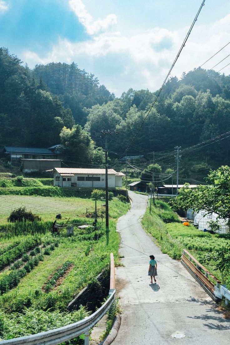 a picturesque view of a rural area. a road winds through the countryside, with fields and trees lining the sides. in the distance, mountains rise towards a cloudy sky. a person is walking along the road, adding a sense of life to the tranquil scene. power lines stretch across the sky. a bridge crosses a small stream. the overall impression is one of peace and natural beauty.