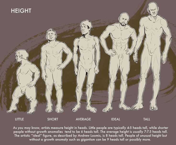 the image presents a visual guide to human height proportions, measured in "heads." it showcases five male figures of varying heights: "little," "short," "average," "ideal," and "tall." each figure is depicted nude and from the front, emphasizing their relative proportions compared to head size.  the "ideal" figure aligns with andrew loomis's artistic standard of 8 heads tall.  the text explains the typical height ranges in heads for different categories, including noting the exceptions of little people and those with gigantism. the overall style is clean, linedrawn, and informative, making it suitable for artists studying human proportions.