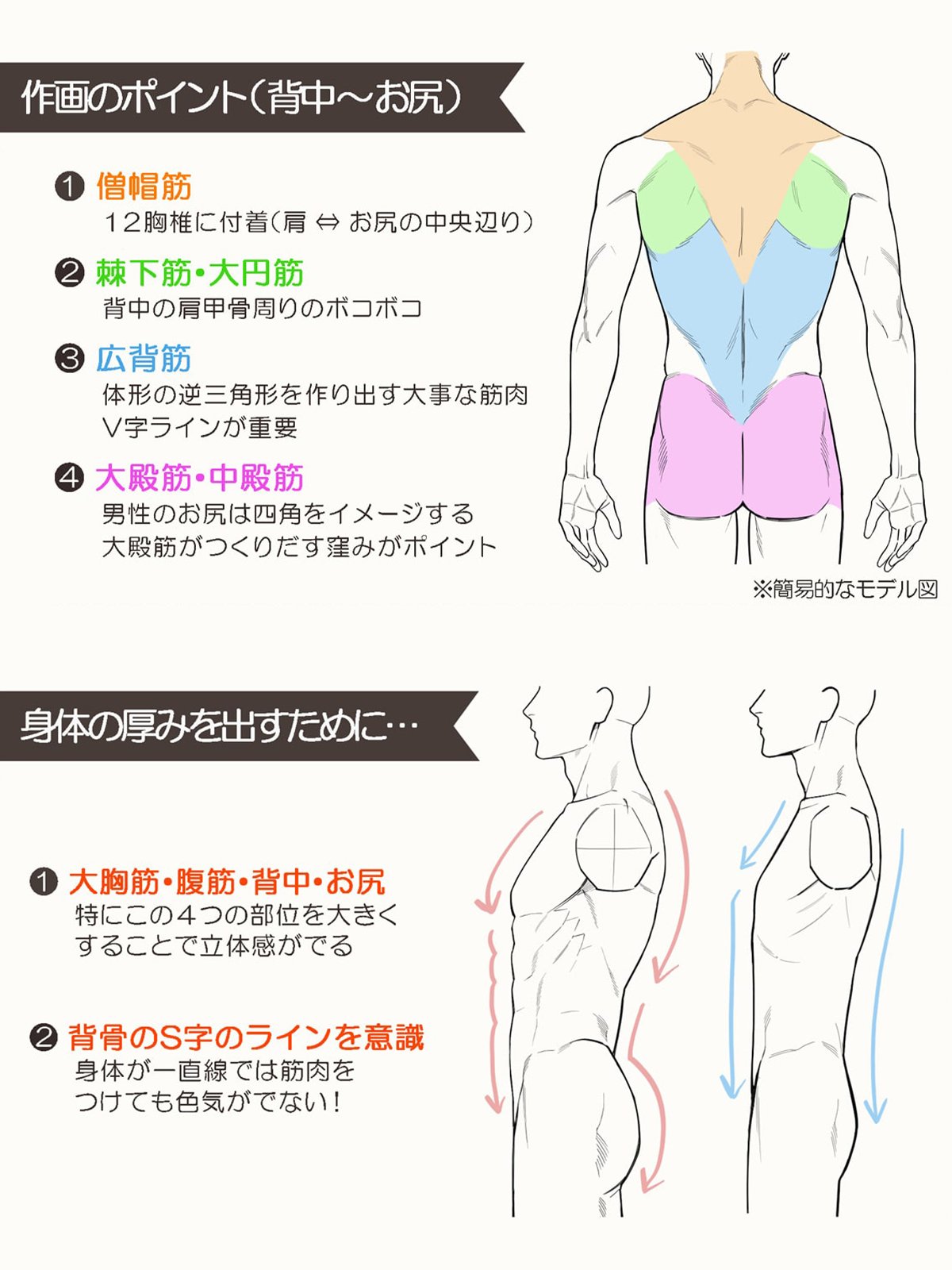 the image is a japaneselanguage drawing tutorial focused on depicting the human back and buttocks.  it shows simplified anatomical diagrams illustrating the major muscle groups of the back and how they contribute to the overall form.  the tutorial breaks down the process, highlighting key points such as the shape of the trapezius, latissimus dorsi, and gluteal muscles. there are labelled diagrams illustrating these muscles from both the back and the side to show how to properly render the threedimensional form.  a separate section discusses techniques for adding depth and dimension to the drawing by emphasizing certain muscle groups and defining the scurve of the spine.  the tutorial aims to guide artists in achieving a more realistic and expressive representation of the human form.