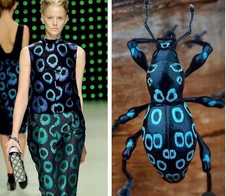 the image shows a woman on a runway wearing a black and blue dress with a dotted pattern. on the right side of the image, there is a closeup shot of a beetle with a similar dotted pattern, which is a blue and black pattern.