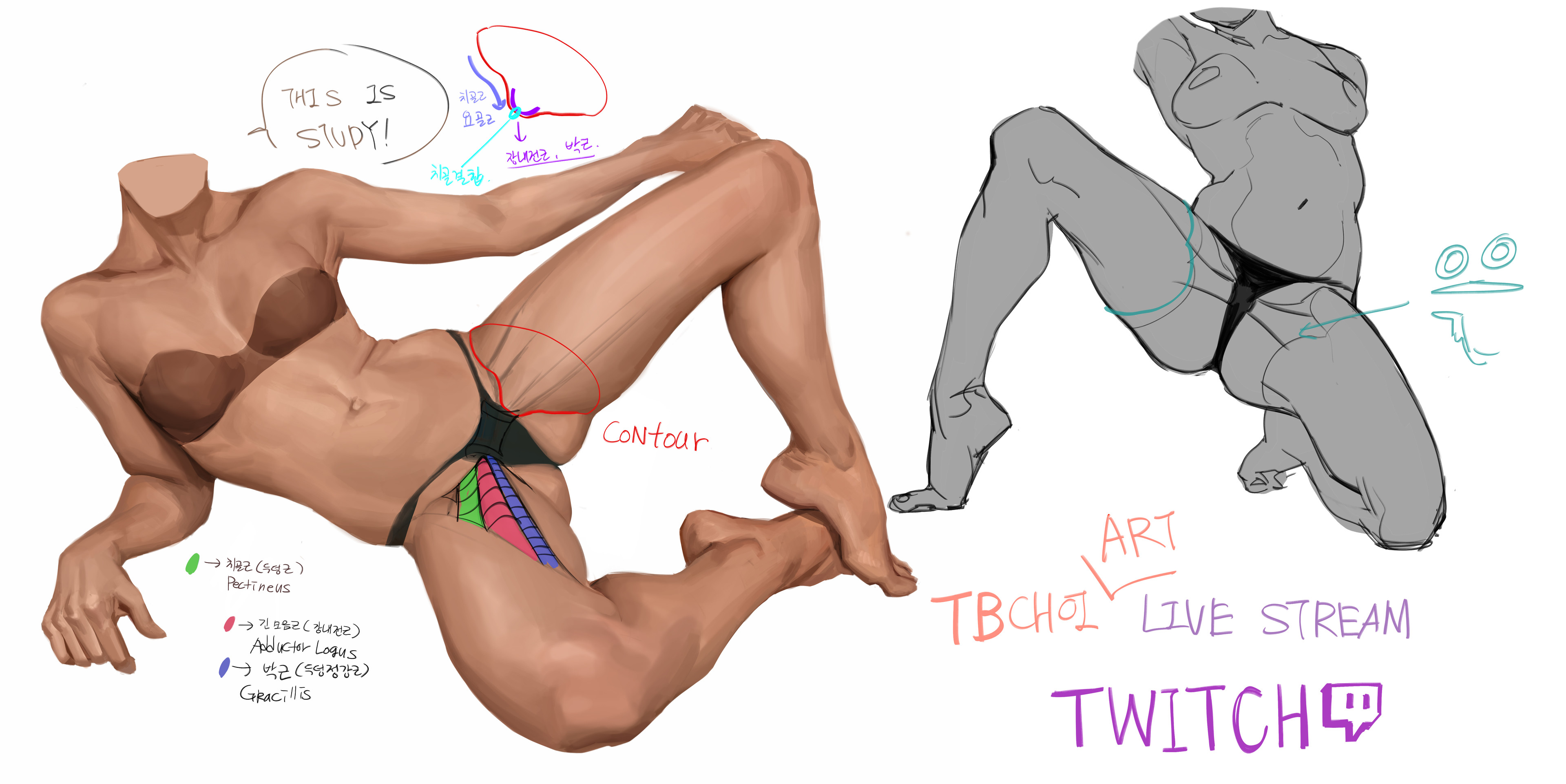 he image shows a digital painting of a female figure in a partially reclined pose, accompanied by anatomical annotations in korean and english. the painting is detailed, with emphasis on muscle structure and form. a simplified gray sketch of a similar pose is shown alongside the painting, likely demonstrating a process or study.  the text indicates the artwork is part of a live stream on twitch by the artist tbchol, focusing on art and anatomy study.  various muscle groups are clearly labeled in both languages. the overall style is educational and artistic, combining anatomical accuracy with painterly expression.