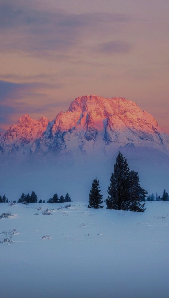 a majestic, snowcapped mountain range bathed in the warm hues of a setting sun. the foreground is a snowy field with a few evergreen trees, adding to the serene winter landscape. the image evokes a sense of tranquility and the aweinspiring beauty of nature.