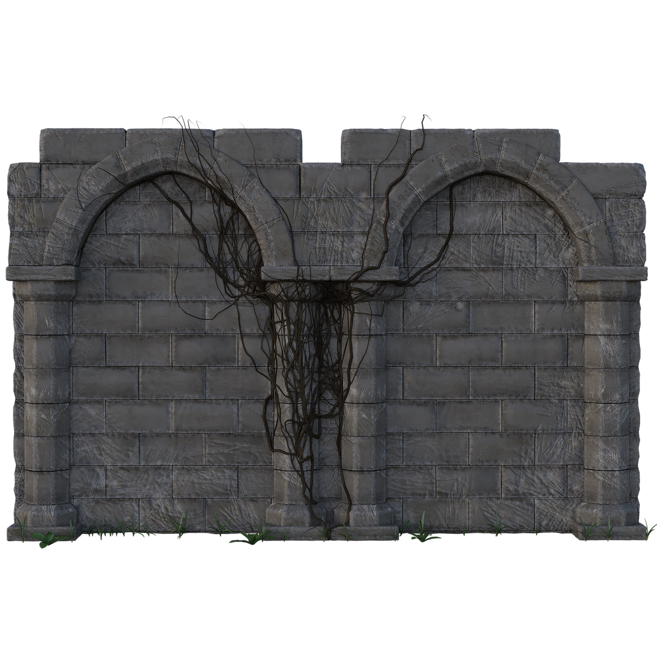 a stone wall with two arched doorways is covered in vines. grass is growing at the base of the wall. the wall appears old and weathered, possibly a ruin.