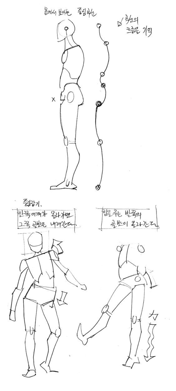 the image is a series of figure drawings that demonstrate the concept of balance and movement in the human body. the drawings are labeled with korean text that provides instructions and explanations.  the image is composed of three parts:1. figure with a midline:  a single figure drawing with a midline drawn through the body. this line emphasizes the center of gravity and the balance of the figure. 2. explanation of how weight affects posture: the second part of the image shows two figures. one is standing with a neutral stance. the second is in a pose where one shoulder is higher than the other, and the image illustrates how this shift in posture affects the positioning of the hips.3. explanation of how weight affects posture: the final portion of the image shows a figure in a pose where one leg is lifting off the ground, and the image shows how this shifts the balance and the position of the hips.overall, this is a clear and concise visual guide to understanding the mechanics of movement in the human body.  it demonstrates the importance of considering how weight distribution affects posture and balance.