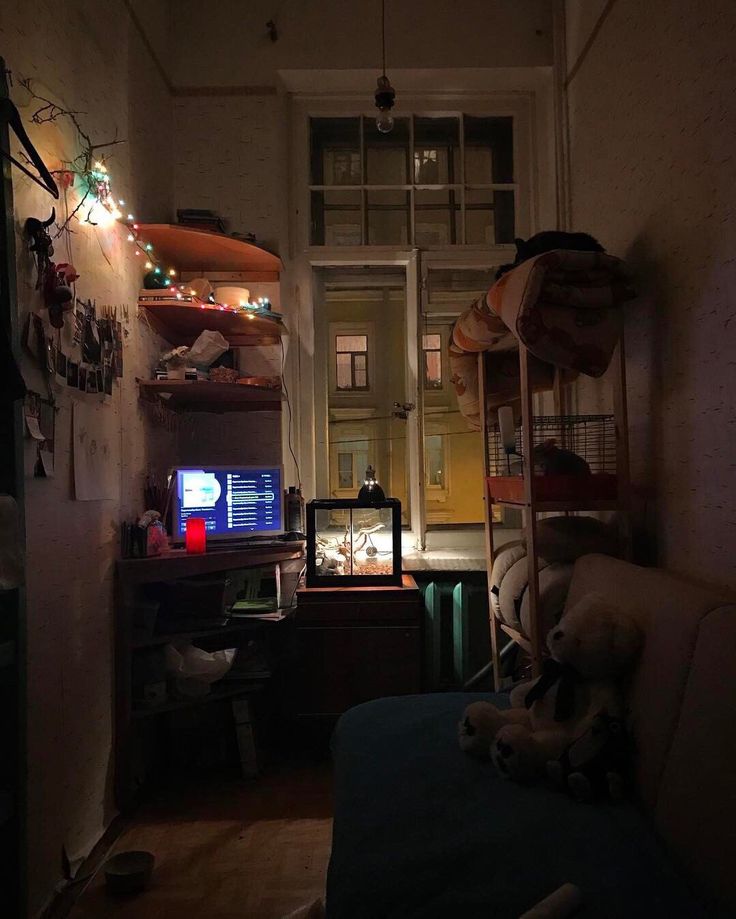 he image shows a cozy and dimly lit room at night. the room is narrow and features a large window overlooking a city street at night.  a computer is set up on a desk, and shelves hold various items, including stuffed animals. a cat is perched on a shelf. string lights add a warm touch to the space. the overall mood is relaxed and intimate.  the lighting is low, creating a cozy atmosphere. the view from the window is visible, showing buildings and lights of the city outside.