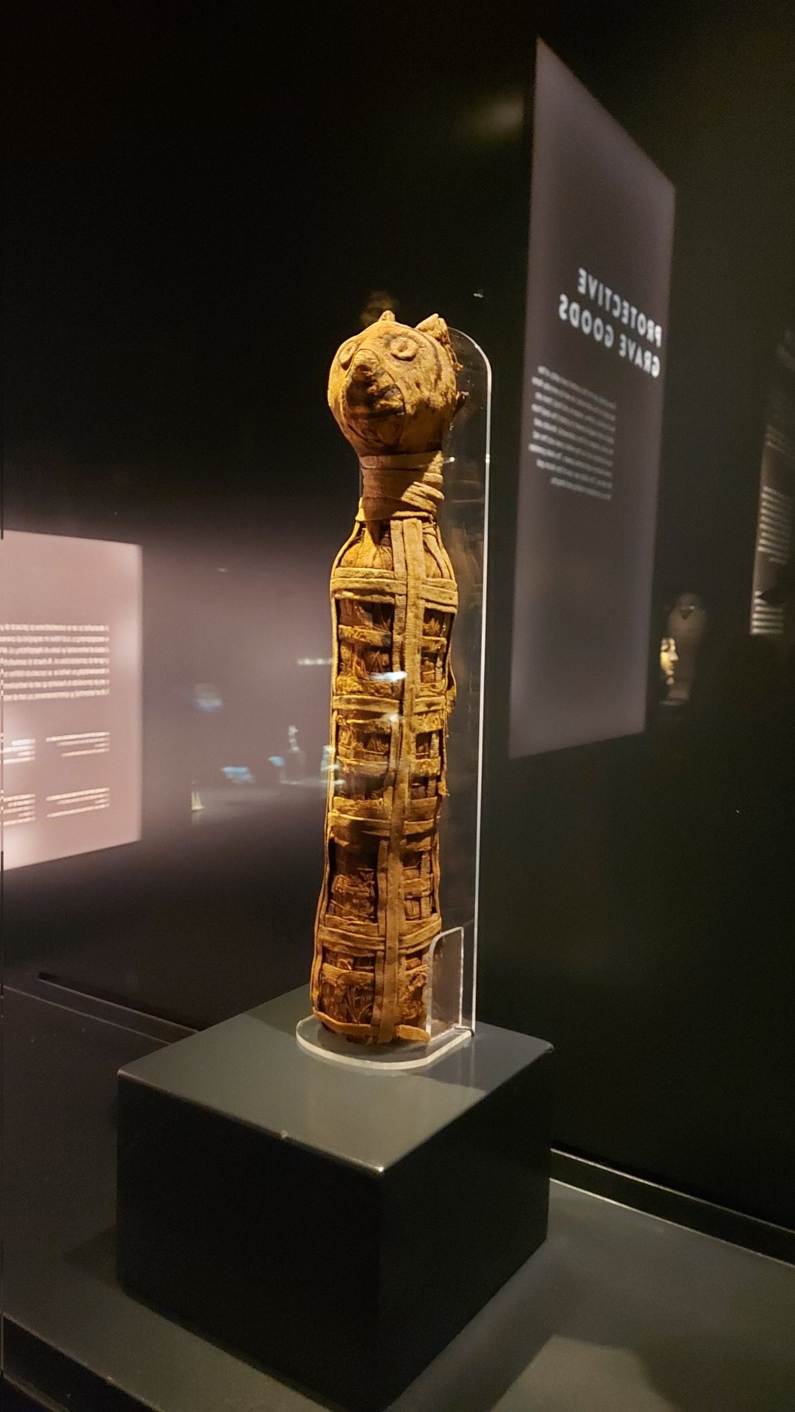 a vertical shot shows an egyptian cat mummy in a display case at a museum. the mummy stands on a square black pedestal. the mummy is brown with darker brown horizontal bands wrapping around its length. the mummy's head is clearly defined as a cat's head, with prominent eyes and ears. the mummy is behind a clear acrylic display case. in the background, there are blurred museum information panels. the lighting is dim and focused on the mummy.