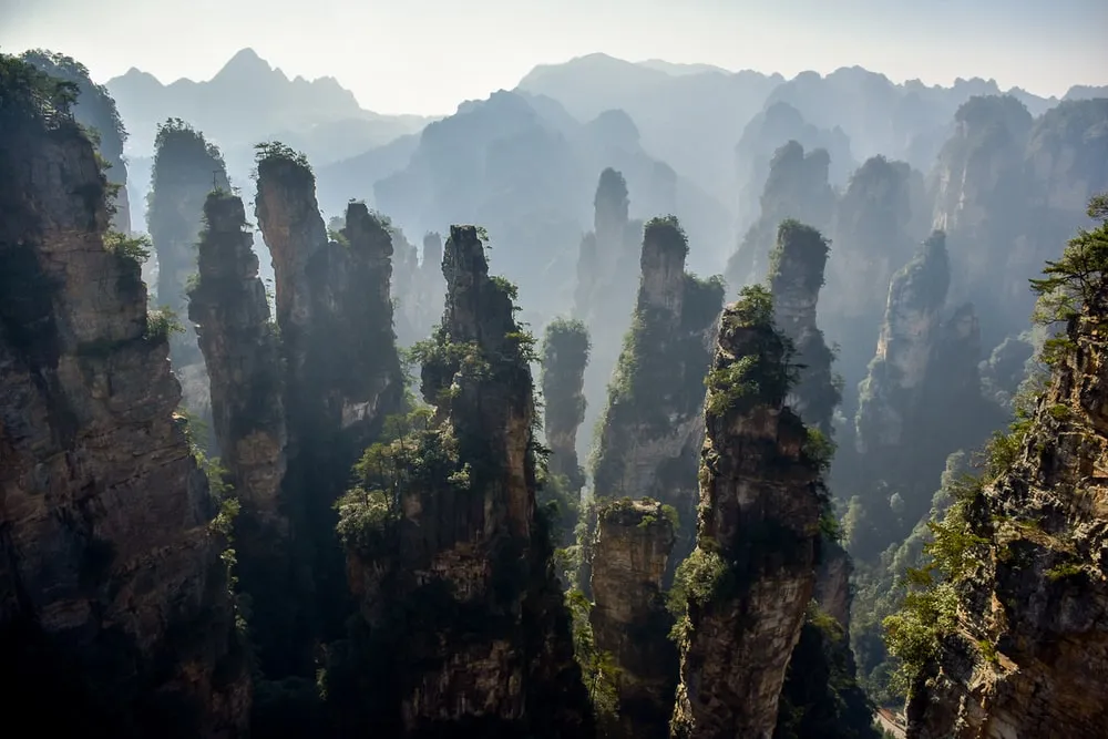 this image showcases the stunning landscape of zhangjiajie national forest park in china, featuring towering sandstone pillars piercing through a layer of mist. the rock formations are adorned with patches of trees and vegetation, creating a unique and otherworldly scenic view. in the background, more mountains fade into the misty horizon.