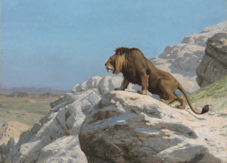 this is a painting of a lion standing on some rocks in a desert landscape. the lion is a large male with a brown mane and a long tail. it is standing on a rocky outcropping overlooking a vast desert. the sky is blue and clear. the painting is done in a realistic style. the lion appears to be alert and looking out over its territory. the overall impression is one of power and majesty.