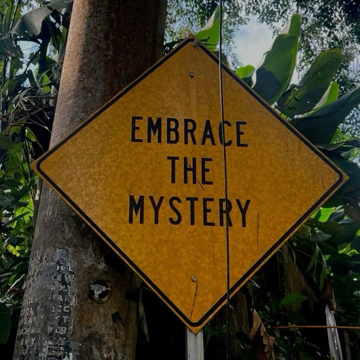 a yellow diamondshaped sign with the words "embrace the mystery" written in black lettering, attached to a tree in a lush, tropical setting.
