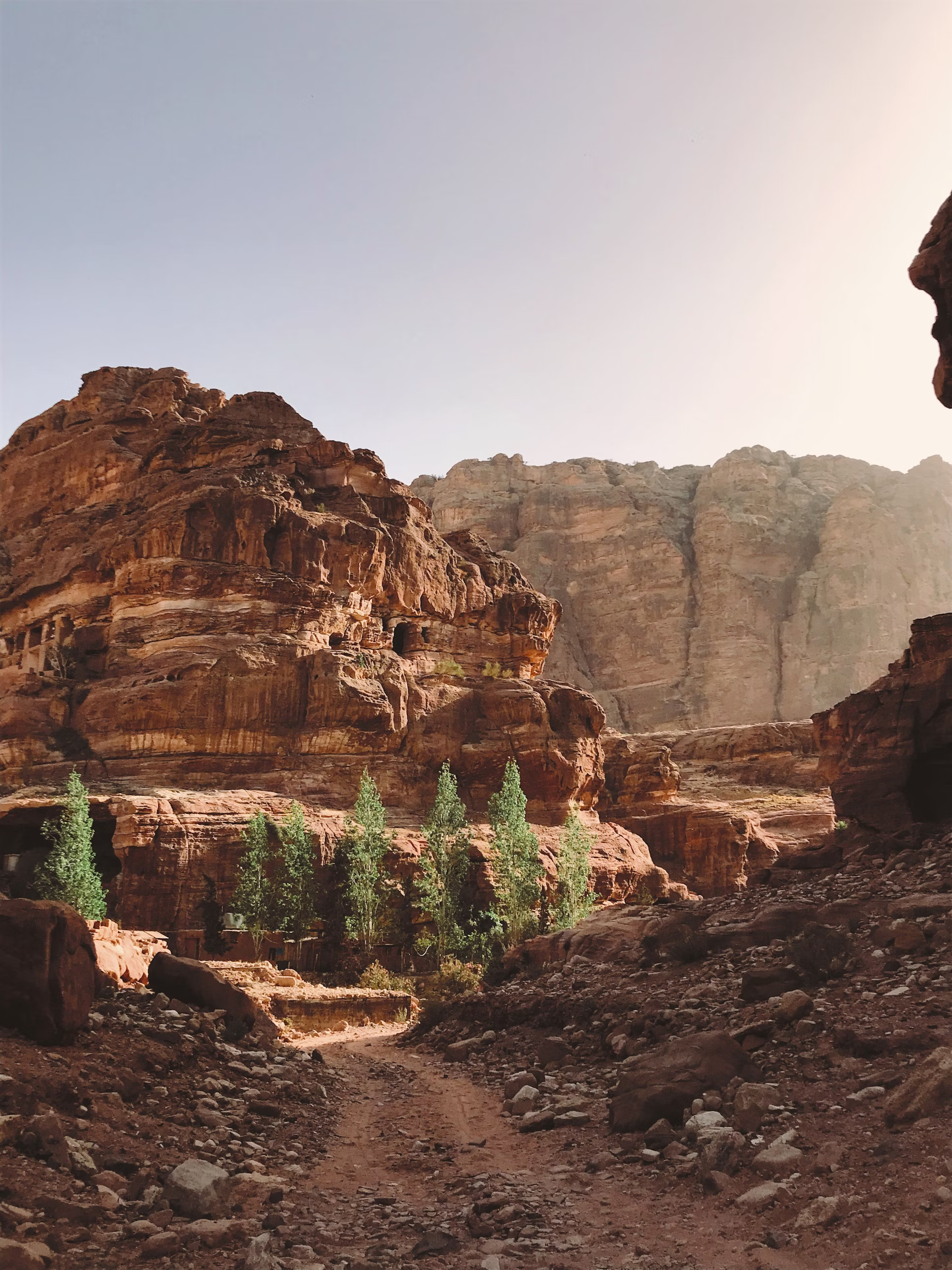 a rocky canyon with tall reddishbrown cliffs on either side. a dirt path winds through the center of the canyon, leading towards a cluster of green trees. the sky above is a pale blue, and the sunlight casts long shadows on the canyon walls.