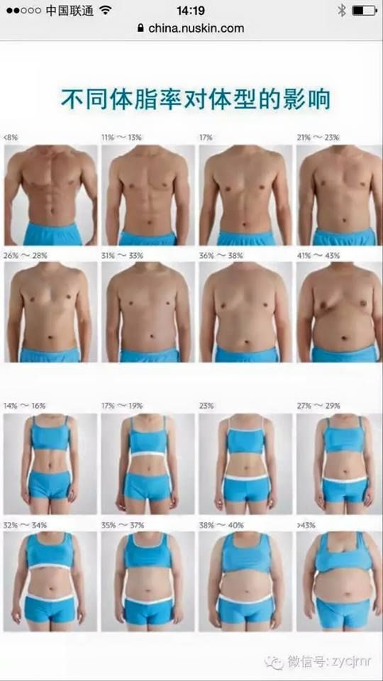 the image shows a chart of different body types and their corresponding body fat percentages. there are 24 images total, with four columns of six images each. the images are arranged by body fat percentage, from the lowest to the highest. the men and women are shown from the waist up, wearing blue underwear. each image shows a different level of body fat and muscularity. the image is designed to show how different body fat percentages can affect the appearance of the human body.