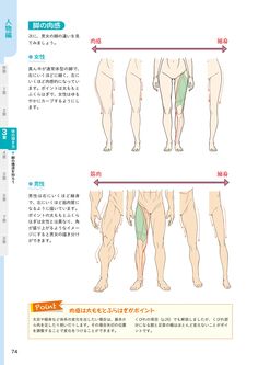 this image is a page from a drawing tutorial book. the page focuses on how to draw the legs of a human figure, specifically focusing on how to depict muscle definition. there are multiple illustrations of legs from the side view, demonstrating different levels of muscularity for both female and male figures. the text, written in japanese, likely provides instructions and tips for drawing realistic leg muscles.