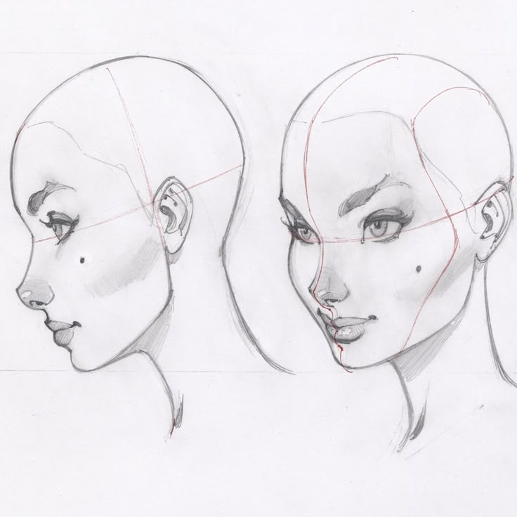 the image shows two pencil sketches of a woman's head from different angles. one is a profile view, and the other is a threequarter view. red lines are drawn over the sketches to indicate the basic anatomy and guidelines for drawing the face. the sketches are detailed and include features like the eyes, nose, mouth, and ears. the shading gives the drawing depth and dimension.