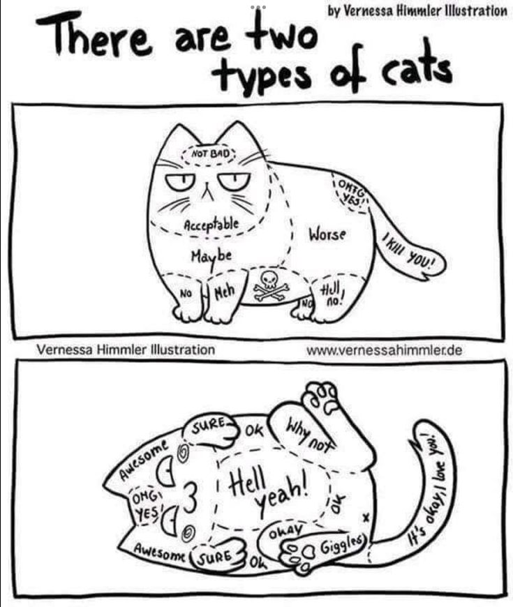 the image is a humorous illustration titled "there are two types of cats." it depicts two different cat personalities. the top cat is grumpy and defensive, with sections labeled "not bad" on the head, "acceptable" on the upper body, "maybe" and "meh" on the lower body, a skull and crossbones on the belly, and "i kill you!" on the tail. the bottom cat is relaxed and loving, with sections labeled "awesome," "hell yeah!", "okay," "giggles," and "it's okay, i love you!". the illustration is by vernessa himmler. it's a cartoon guide to petting or touching cats depending on their mood.
