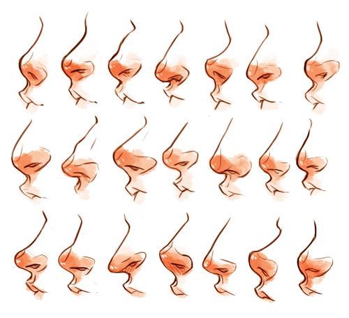 the image displays a series of stylized sketches of human noses in profile. the sketches vary in shape, size, and detail, showcasing different nose structures. the drawings use simple lines and subtle shading to depict the form and contours of the noses. the art is likely intended as a study of nasal anatomy for artists.