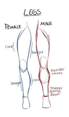 the image is a drawing tutorial showing the difference between male and female legs. it highlights the key differences in shape and musculature, using simple lines and labels.
