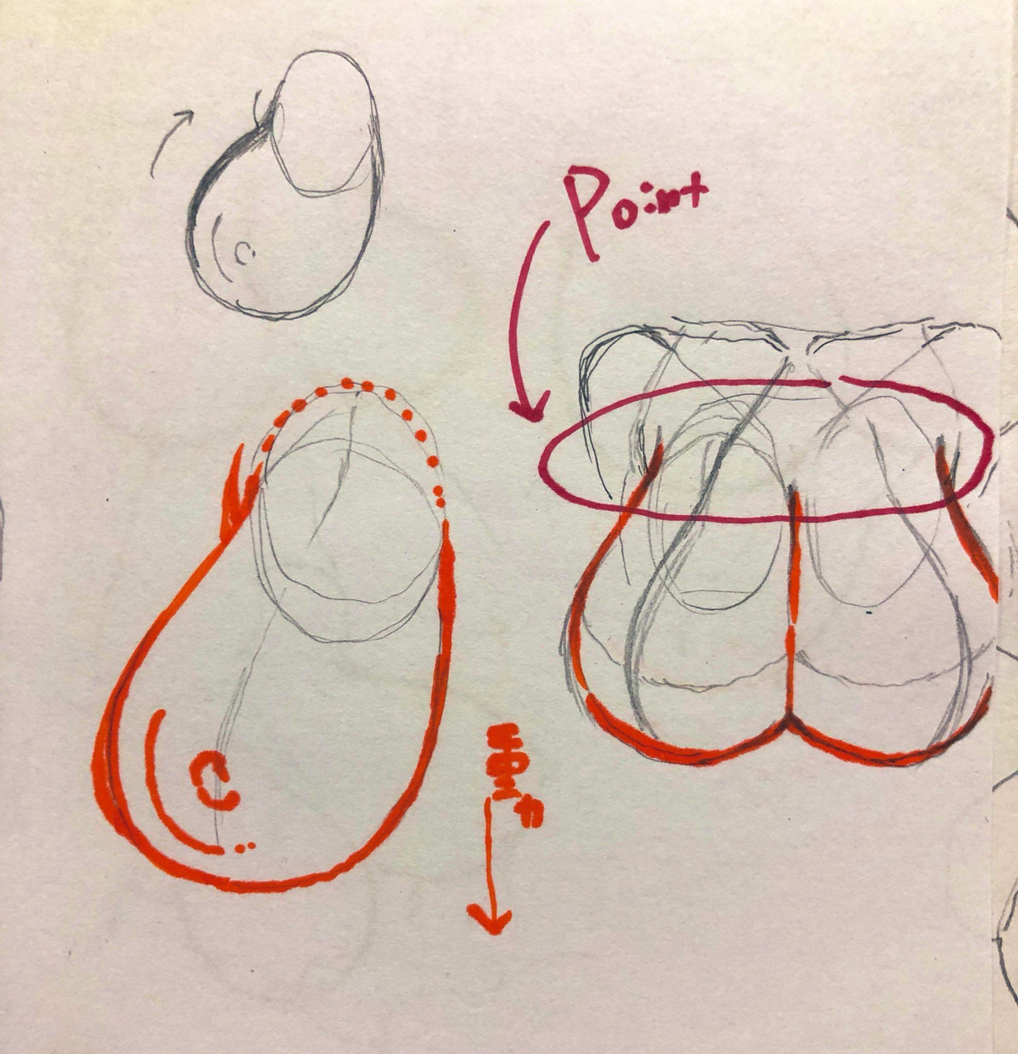 this image is a pencil sketch of a rounded anatomical feature on paper.  there is red ink highlighting the outer edges and some notes on the forms. the image appears to be a tutorial for drawing.