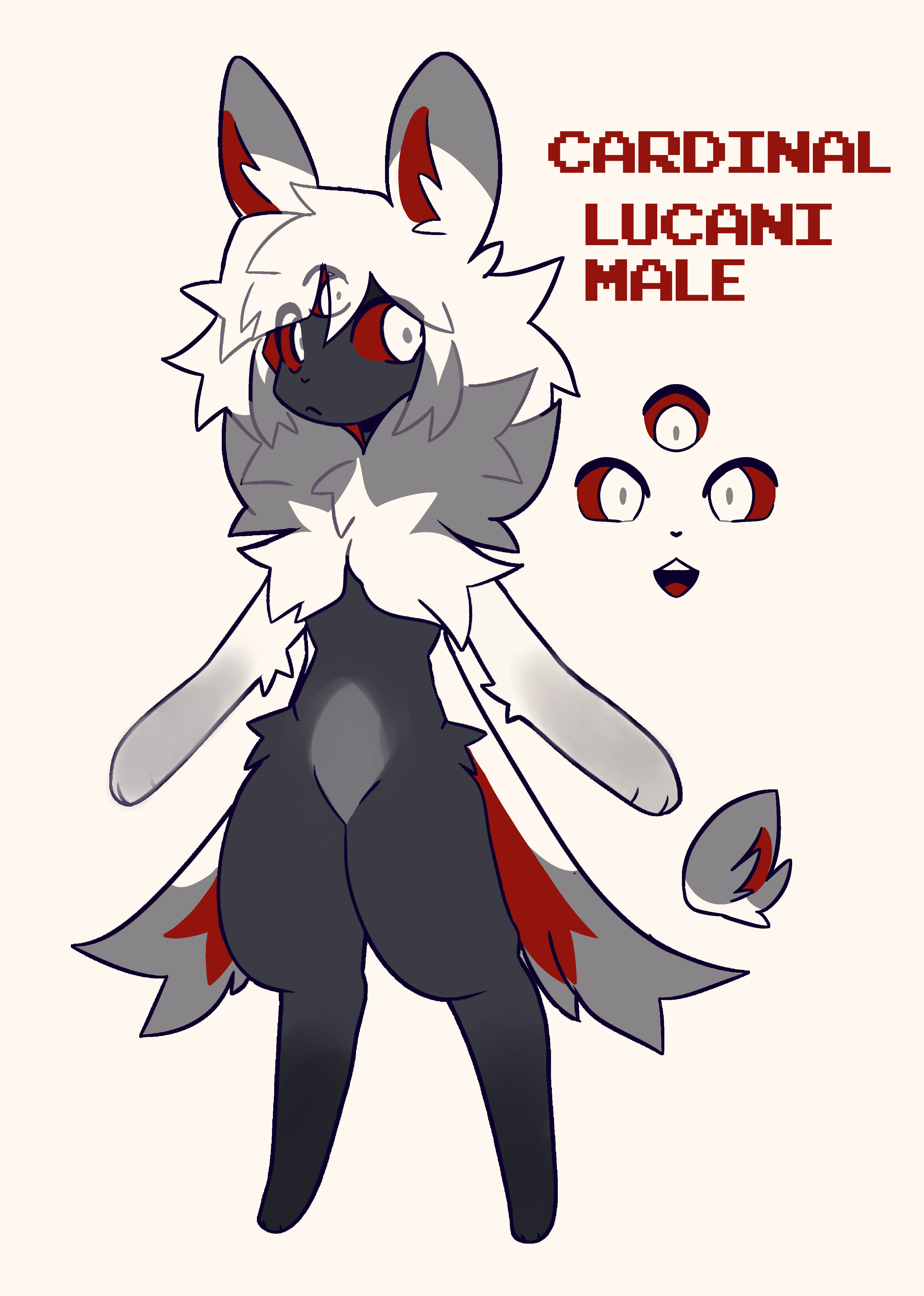 a cartoonstyle furry creature with red, black, and white fur. the creature has a wolflike appearance. the creature is standing on its hind legs and is looking to the left. the creature has a white, fluffy tail and a red and black tail. there are additional design elements shown to the right of the creature. the text "cardinal lucani male" is displayed above the creature.