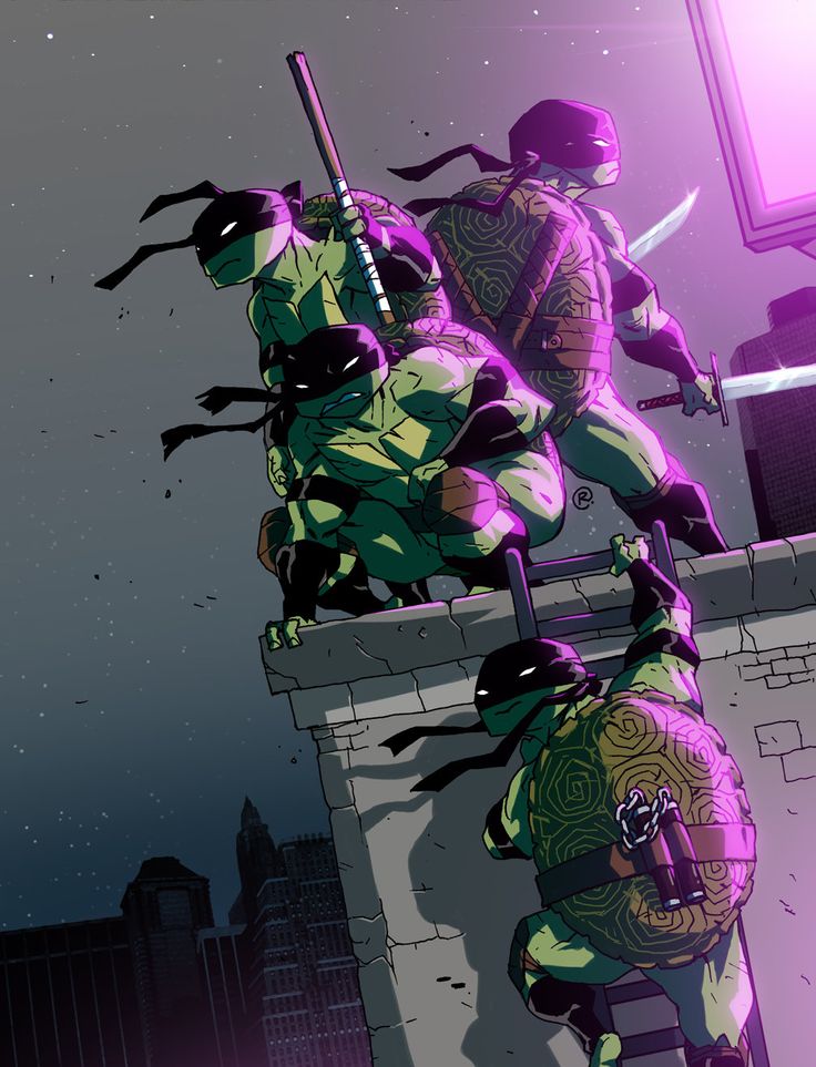 the image shows four teenage mutant ninja turtles on a rooftop, silhouetted against the night sky. two turtles are on a ladder, while the other two stand on the roof with swords drawn. the image is drawn in a comic book style, with bold lines and vibrant colors. the image is full of action and excitement, and it evokes a sense of danger and adventure.