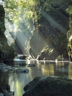 a river flows through a lush green canyon, sunlight streaming through the trees and illuminating the water. the scene is serene and peaceful.