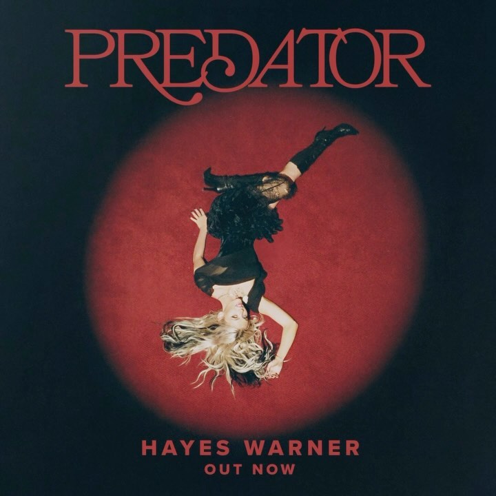 the image is an album cover for hayes warner's song "predator". the cover features an inverted image of a woman in a black dress and thighhigh boots against a red circular spotlight on a black background. "predator" is written in red at the top, and "hayes warner" and "out now" are written in a similar font at the bottom. the woman has blonde hair with black streaks. the album cover is for pop music.