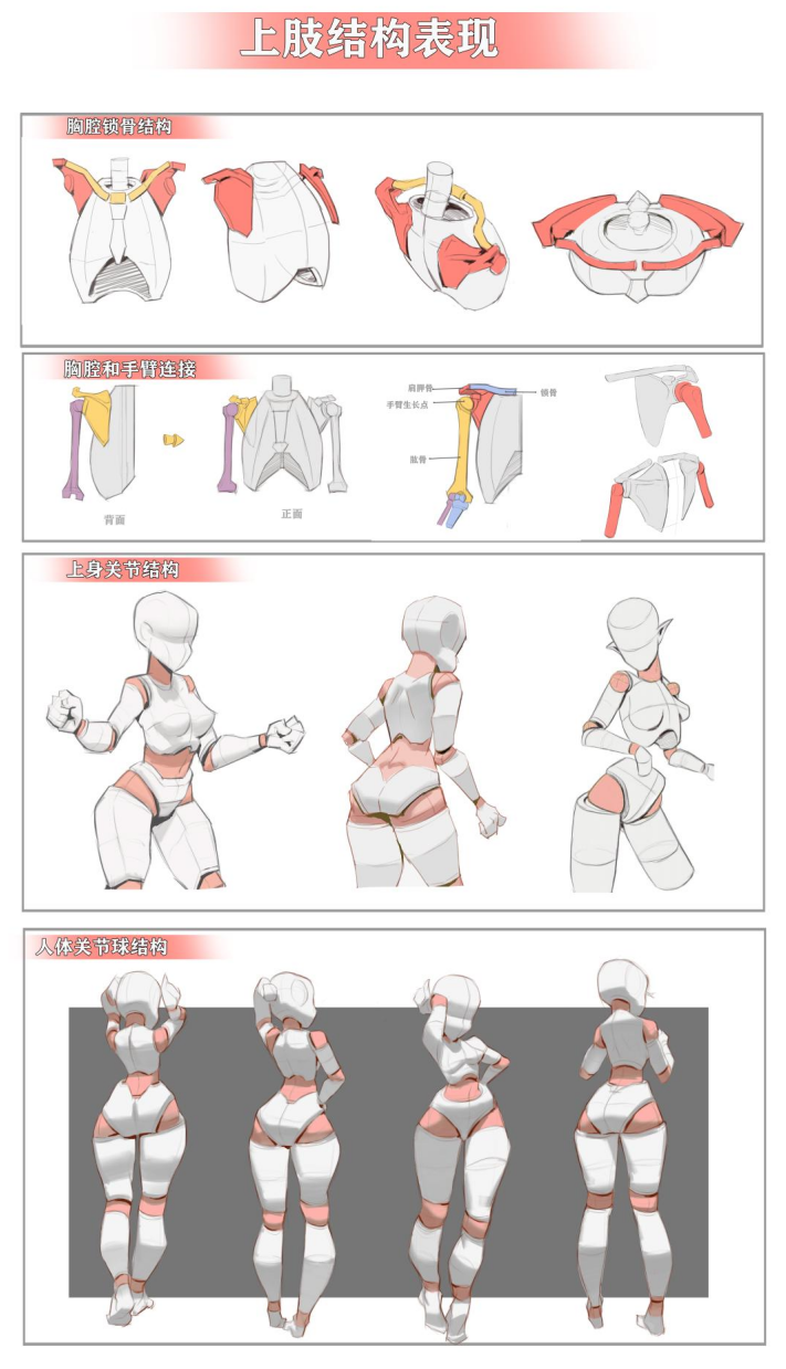 this image is a tutorial on how to draw the upper body of a female figure. it shows the skeletal and muscular structure of the chest, shoulders, and arms, as well as how to draw the figure from different angles.