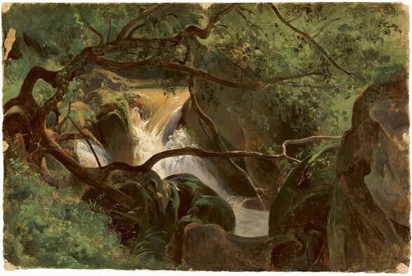 the image is a painting of a landscape featuring a waterfall in a forest. the scene is lush with greenery, including trees, foliage, and mosscovered rocks. water cascades over the rocks, creating a waterfall. branches and tree trunks are prominent in the foreground, framing the view of the waterfall. the overall impression is one of a tranquil and wild natural setting.