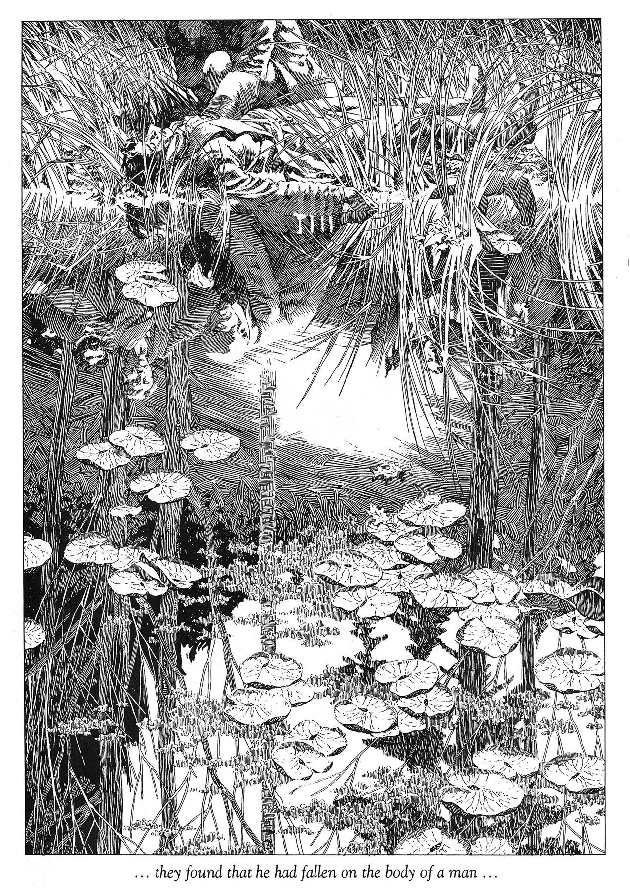 the black and white illustration depicts a dense, swampy environment filled with tall reeds, water lilies, and foliage. the high contrast lighting suggests strong sunlight filtering through the plants. in the background, a figure stands, appearing to have just discovered something grim.  a path leads through the swamp and at the end of this path lies the body of a man, partially submerged. the caption reads "... they found that he had fallen on the body of a man ..." suggesting this is a scene of discovery within a larger narrative, likely a mystery or thriller.