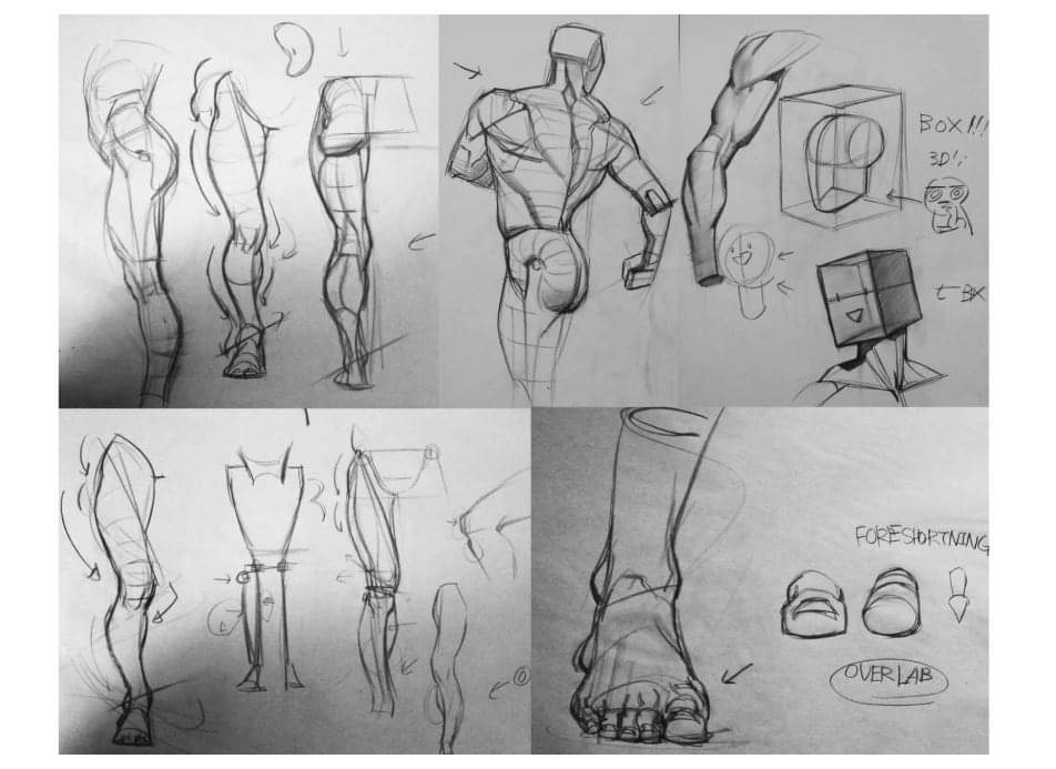 the image is a collection of pencil sketches focusing on figure drawing and anatomy.  it showcases various studies of legs, arms, and a torso from different angles and perspectives.  some sketches emphasize muscle structure and form, while others illustrate the use of basic shapes (like boxes) to build 3d forms and understand foreshortening. there are notes and arrows indicating the artist's process and focusing on key aspects like overlapping and the application of 3d forms to anatomical structures. the overall style suggests a focus on developing skills in anatomical drawing and realistic representation of the human body.