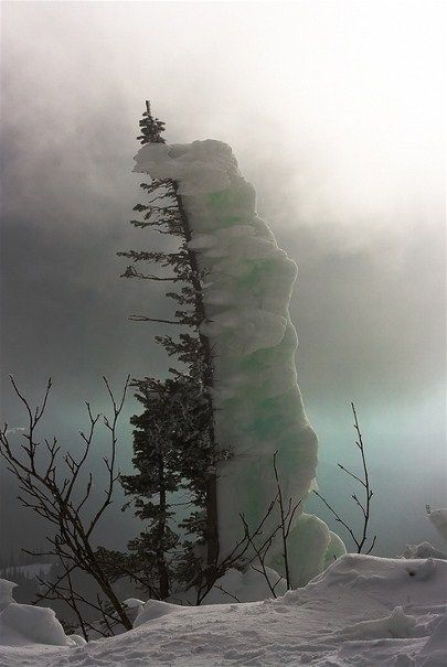 a stark winter landscape featuring a tree heavily encrusted with snow and ice. the tree is prominently positioned, with a significant portion of its structure completely encased in a thick layer of frost. in the foreground, a snowy ground is visible, with other bare trees and branches scattered around. the background is filled with a hazy, foggy atmosphere, contributing to a sense of cold and isolation.