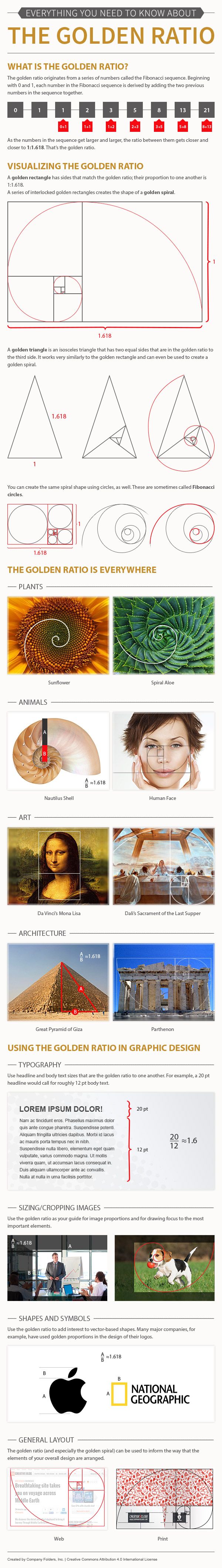 the image is an infographic about the golden ratio. it shows how the golden ratio is found in nature, art, and architecture. it also shows how the golden ratio can be used in design. the infographic is visually appealing and easy to understand. it is a great tool for learning about the golden ratio and its applications.