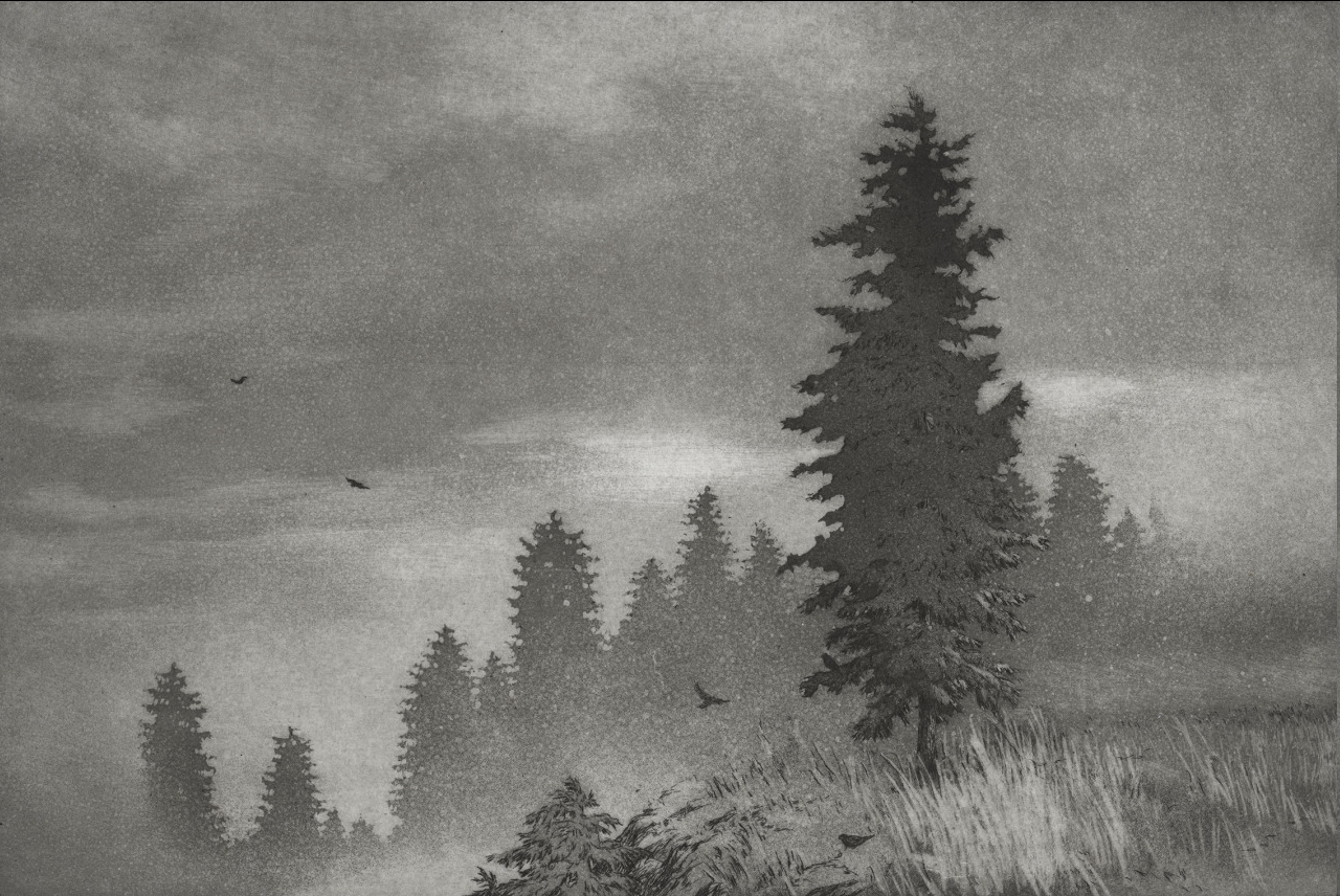 a black and white image of a lone pine tree in the foreground of a mountain landscape. the tree is silhouetted against a cloudy sky, and several birds are flying in the distance. the foreground is grassy and rocky, and the background is a forest of pine trees.
