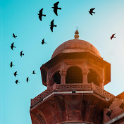 the image showcases a vibrant scene of numerous birds in flight, silhouetted against a clear, bright sky. the birds appear to be circling a majestic, red sandstone mosque or minaret. the architecture of the building is intricate and detailed, with a prominent dome and arched windows.  the warm sunlight suggests it may be afternoon. the overall mood is serene and peaceful, evoking a sense of tranquility and possibly suggesting a location in south asia (india or pakistan).