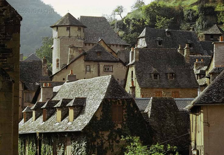 the image shows a cluster of old buildings in a village or town, likely medieval, with many rooftops visible. a prominent tower stands among the buildings, and chimneys rise from the houses. the rooftops are covered in shingles, and some of the buildings are covered in ivy. the buildings are made of stone and are surrounded by a hillside landscape. the architecture is distinctively european.