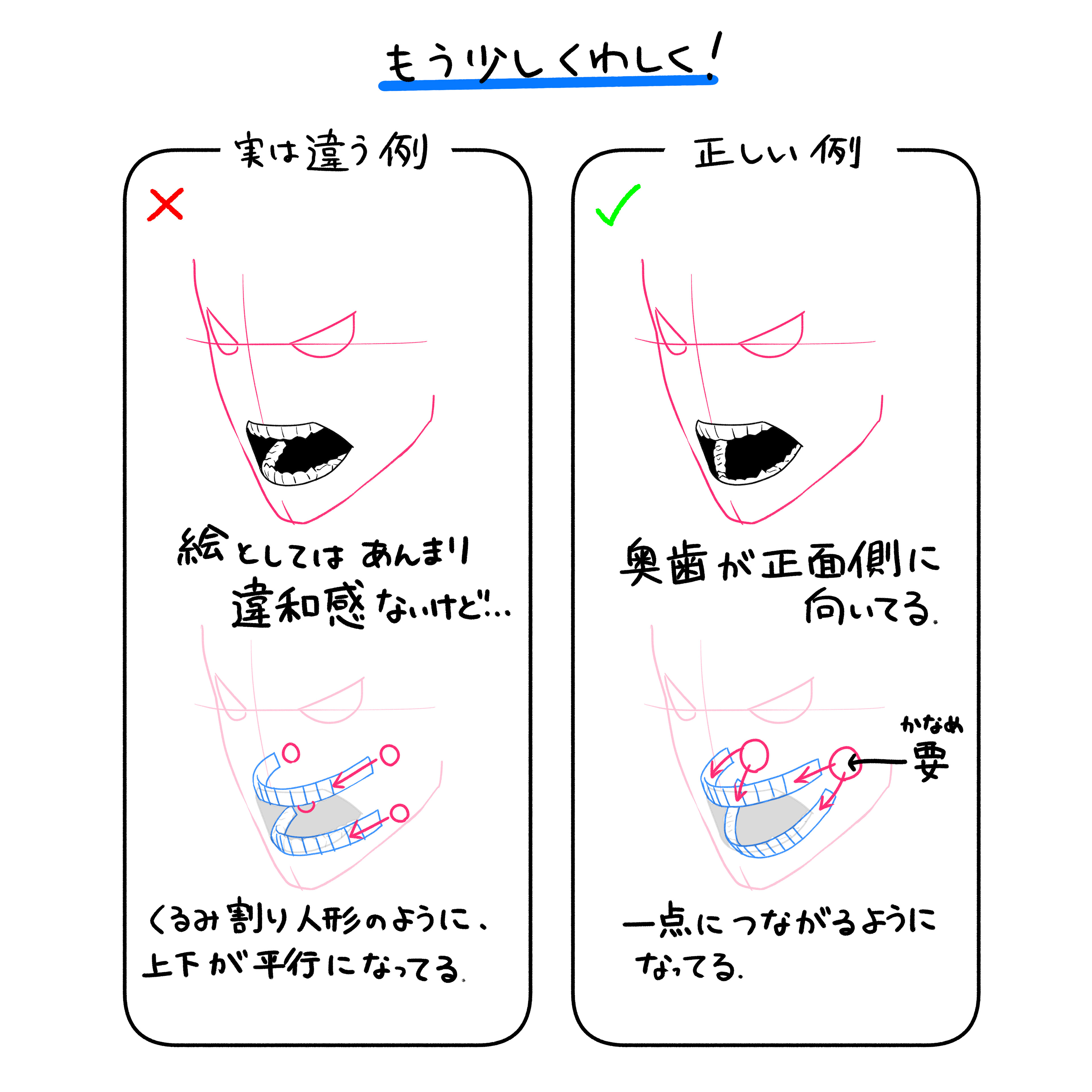 a drawing that compares two different ways of drawing a mouth opening. one is labeled as incorrect and the other correct. the incorrect drawing depicts the teeth in a parallel arrangement, akin to a nutcracker. the correct drawing shows the teeth converging towards a single point as the mouth opens. this comparison highlights the anatomical accuracy of jaw movement, emphasizing how teeth don't move in a simple parallel fashion when the mouth opens.