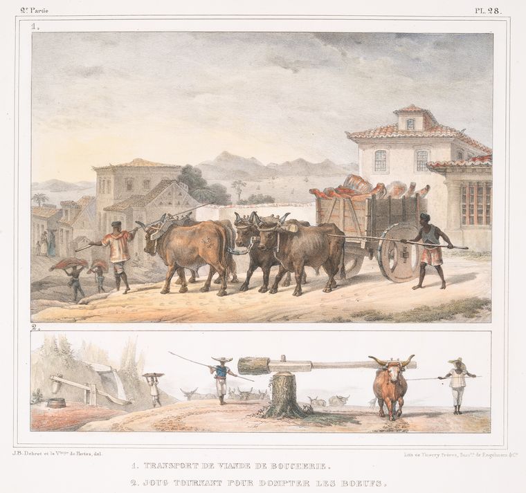 the image shows two scenes of agricultural labor. the top scene depicts a team of oxen pulling a cart loaded with meat, guided by two men. buildings and other figures are in the background. the lower scene shows oxen being trained with a yoke. people are guiding the oxen with sticks, while others are carrying loads.