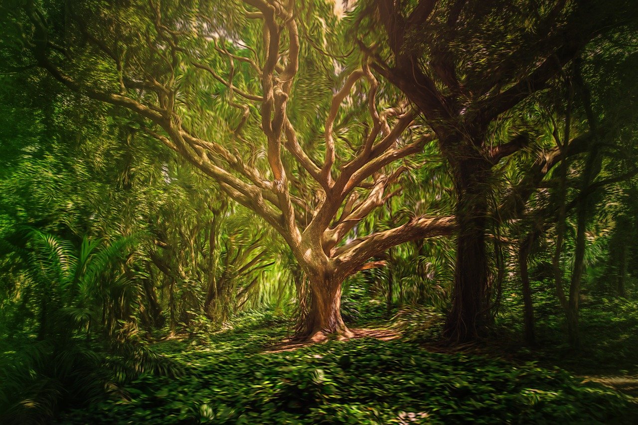 a lush forest scene with tall trees, abundant greenery, and dappled sunlight filtering through the canopy. the trees have thick trunks and spreading branches, and the ground is covered in a dense layer of leaves and other foliage. the lighting creates a sense of depth and atmosphere, with shadows and highlights accentuating the textures of the forest.
